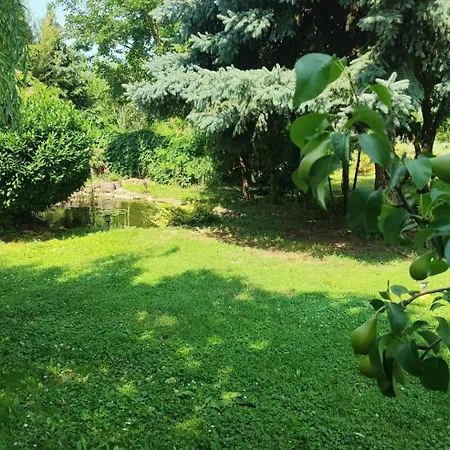 Norbi Vendeghaz